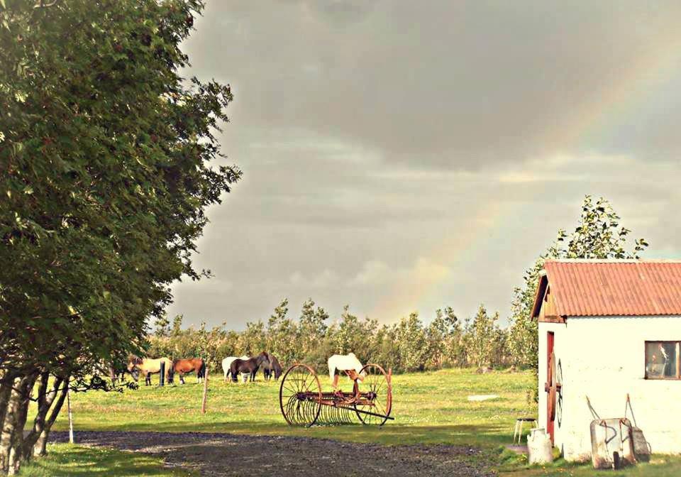 Rauthuskrithur Farm Holmabaeir المظهر الخارجي الصورة